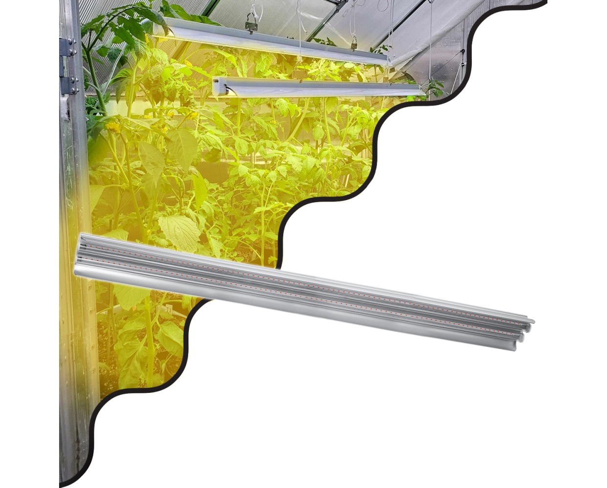 GloboStar® 85959 Linear Grow Light Hydro Spectrum LED Γραμμικό Φωτιστικό Ανάπτυξης Φυτών Υδροπονικού Θερμοκηπίου 120cm SMD 2835 200W 120° AC230V IP54 Εσωτερικού Χώρου για Κάλυψη Επιφάνειας 1.2m x 1.2m