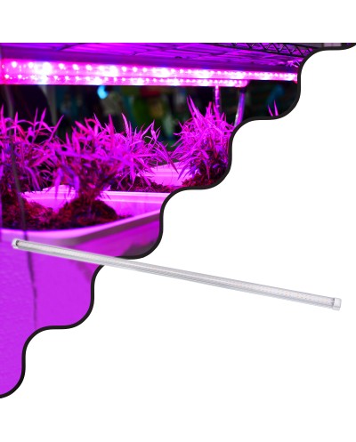 GloboStar® 85963 Linear Grow Light Full Spectrum LED Γραμμικό Φωτιστικό Ανάπτυξης Φυτών Θερμοκηπίου 120cm SMD 2835 80W 160° AC230V IP54 Εσωτερικού Χώρου για Κάλυψη Επιφάνειας 1.2m x 1.2m Πλήρους Φάσματος Φωτισμού