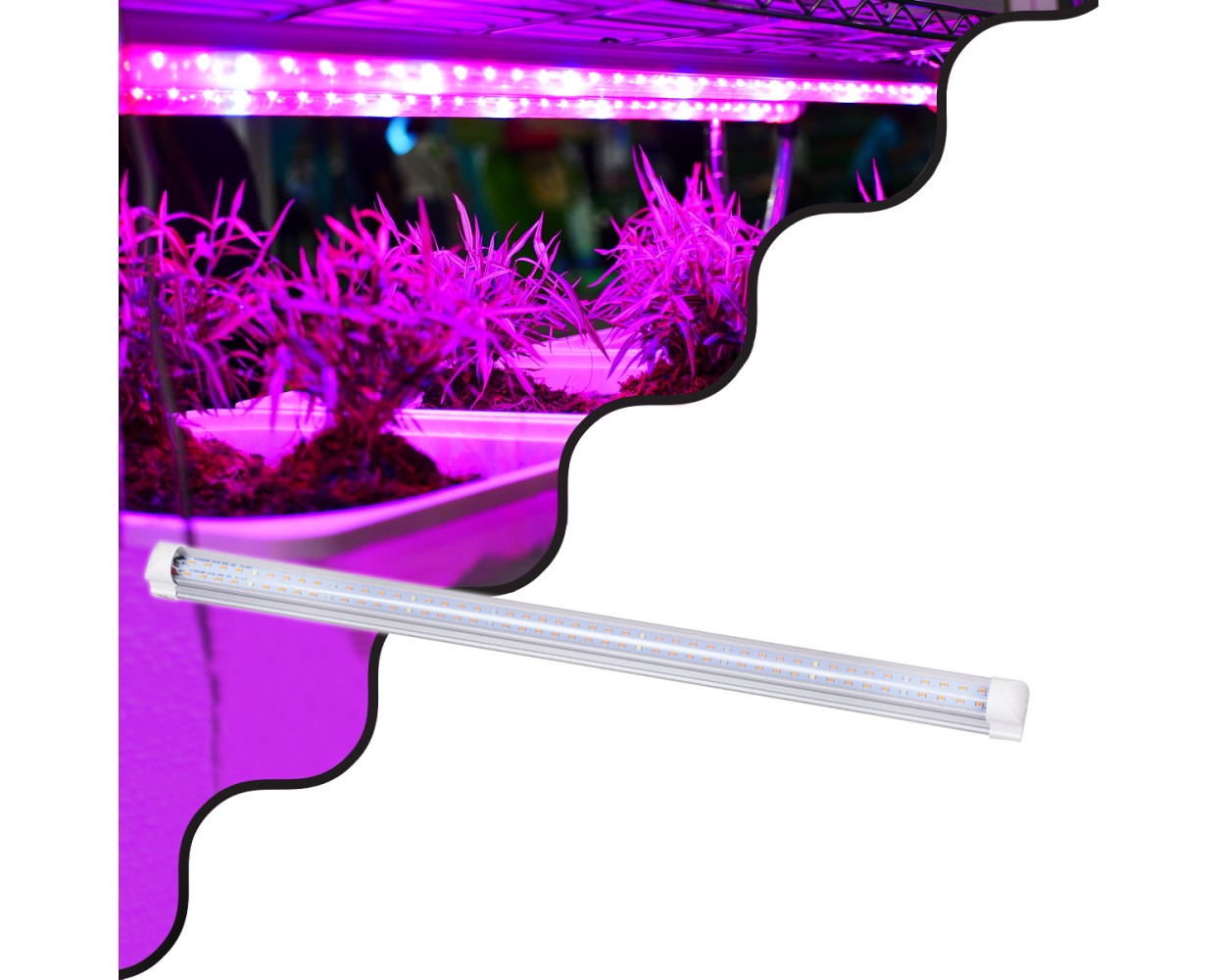 GloboStar® 85961 Linear Grow Light Full Spectrum LED Γραμμικό Φωτιστικό Ανάπτυξης Φυτών Θερμοκηπίου 60cm SMD 2835 40W 160° AC230V IP54 Εσωτερικού Χώρου για Κάλυψη Επιφάνειας 0.6m x 0.6m Πλήρους Φάσματος Φωτισμού