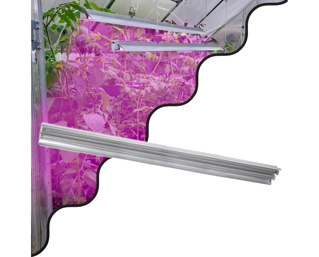 GloboStar® 85958 Linear Grow Light Full Spectrum LED Γραμμικό Φωτιστικό Ανάπτυξης Φυτών Θερμοκηπίου 120cm SMD 2835 200W 120° AC230V IP54 Εσωτερικού Χώρου για Κάλυψη Επιφάνειας 1.2m x 1.2m Πλήρους Φάσματος Φωτισμού