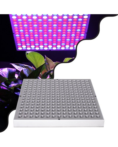 GloboStar® 85954 Grow Light Panel Full Spectrum LED Φωτιστικό Ανάπτυξης Φυτών Θερμοκηπίου SMD 2835 100W 160° AC230V IP54 Εσωτερικού Χώρου για Κάλυψη Επιφάνειας 1m x 1m Πλήρους Φάσματος Φωτισμού