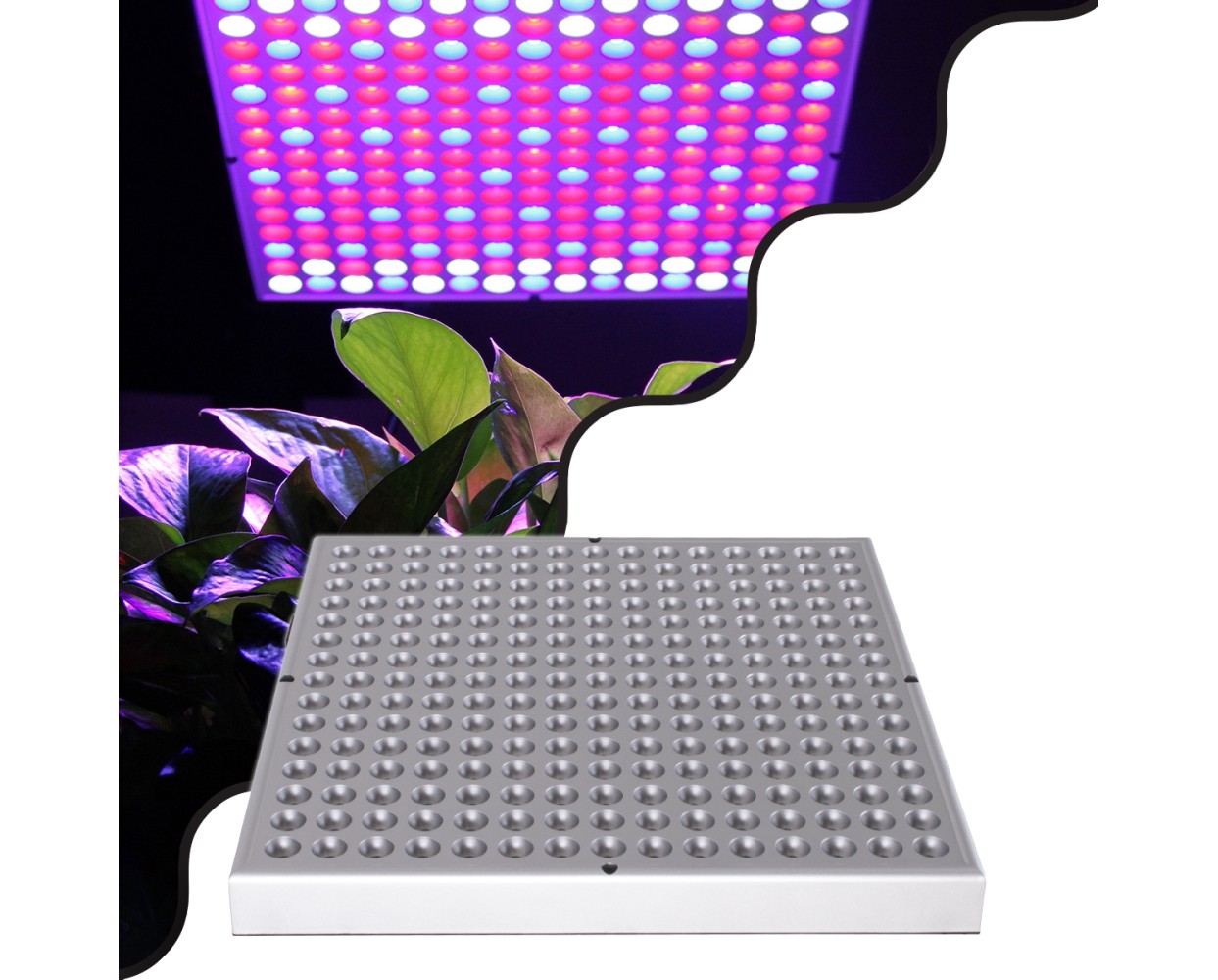 GloboStar® 85954 Grow Light Panel Full Spectrum LED Φωτιστικό Ανάπτυξης Φυτών Θερμοκηπίου SMD 2835 100W 160° AC230V IP54 Εσωτερικού Χώρου για Κάλυψη Επιφάνειας 1m x 1m Πλήρους Φάσματος Φωτισμού