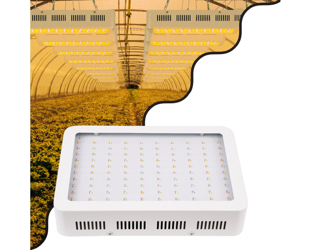 GloboStar® 85951 Grow Light Hydro Full Spectrum LED Φωτιστικό Ανάπτυξης Φυτών Υδροπονικού Θερμοκηπίου SMD 2835 70W 160° AC230V IP54 Εσωτερικού Χώρου για Κάλυψη Επιφάνειας 1.5m x 1.5m Πλήρους Φάσματος Φωτισμού