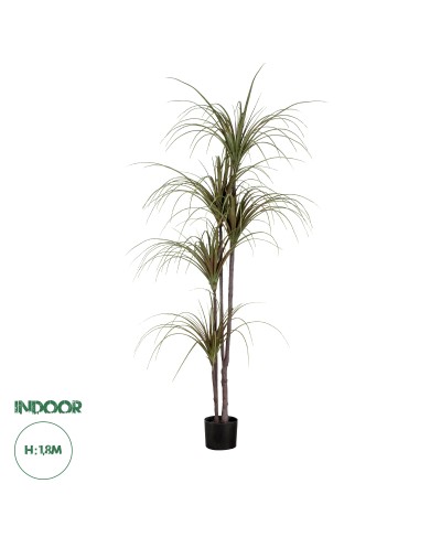 GloboStar® Artificial Garden DRAGON BLOOD TREE 20016 - Τεχνητό Διακοσμητικό Φυτό Δράκαινα Υ180cm