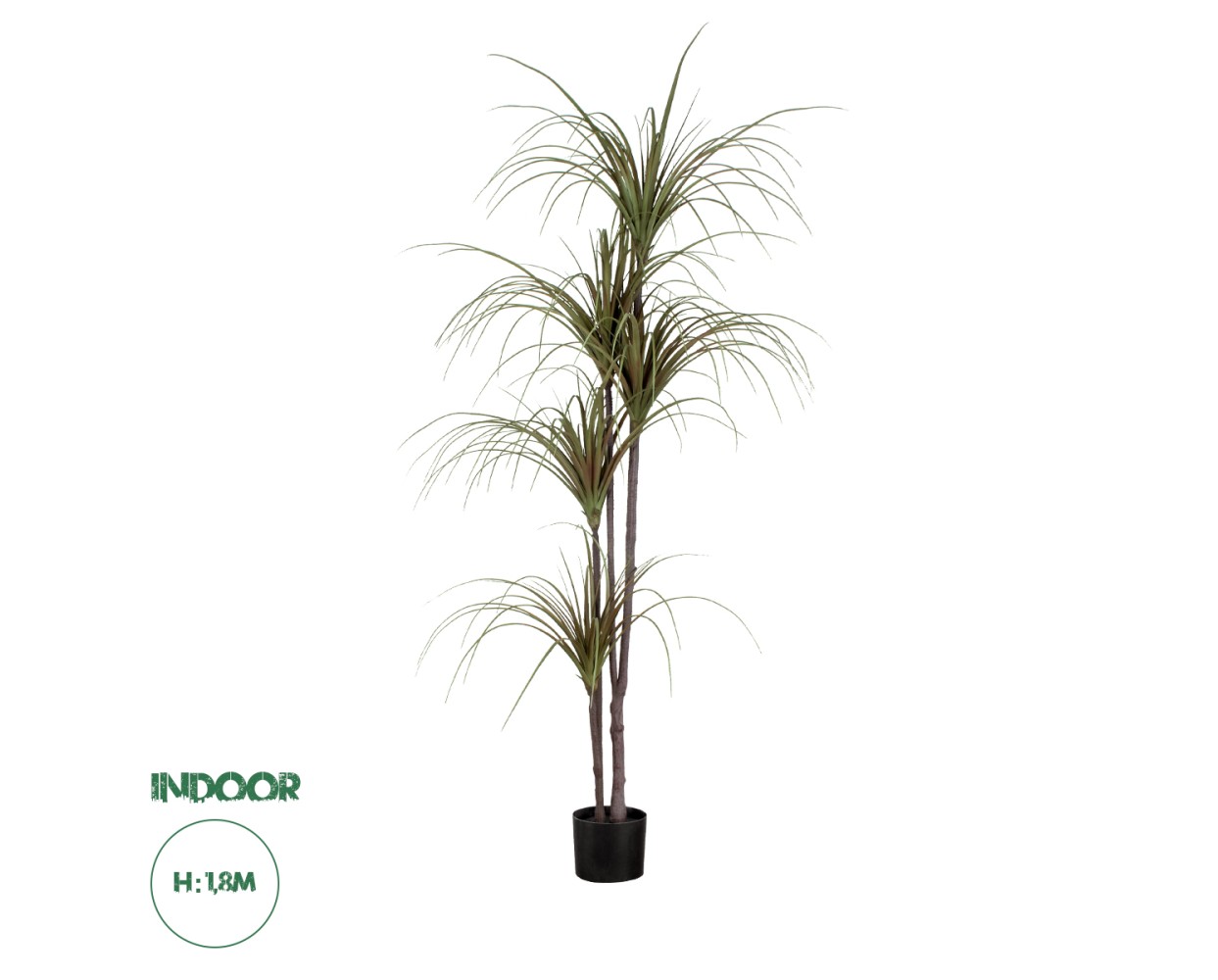 GloboStar® Artificial Garden DRAGON BLOOD TREE 20016 - Τεχνητό Διακοσμητικό Φυτό Δράκαινα Υ180cm