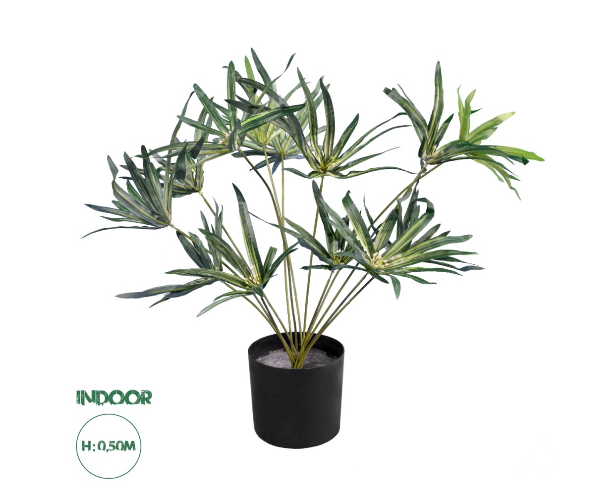 GloboStar® Artificial Garden BROADLEAF LADY PALM 20059 Τεχνητό Διακοσμητικό Φυτό Πλατύφυλλος Φοίνικας Μπαμπού Υ50cm