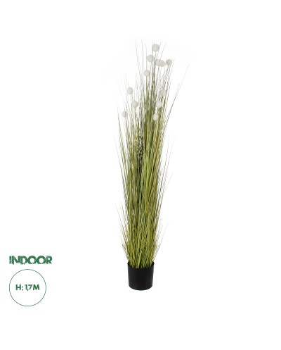 GloboStar® Artificial Garden ERIOPHORUM ANGUSTIFOLIUM COTTON GRASS 20074 Τεχνητό Διακοσμητικό Φυτό Γρασίδι του Βαμβακιού Υ170cm