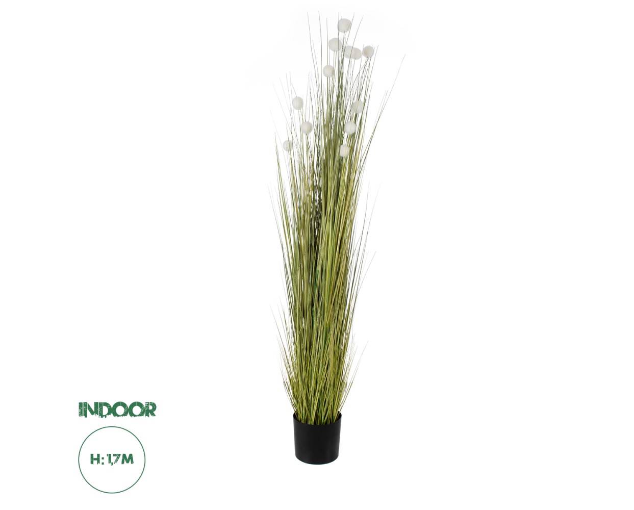 GloboStar® Artificial Garden ERIOPHORUM ANGUSTIFOLIUM COTTON GRASS 20074 Τεχνητό Διακοσμητικό Φυτό Γρασίδι του Βαμβακιού Υ170cm