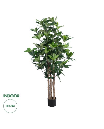 GloboStar® Artificial Garden FORTUNE GUIANA TREE 20056 Τεχνητό Διακοσμητικό Φυτό Καστανιά του Μαλαμπάρ Υ160cm