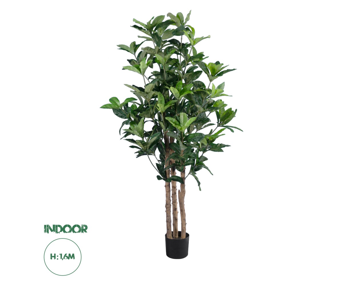 GloboStar® Artificial Garden FORTUNE GUIANA TREE 20056 Τεχνητό Διακοσμητικό Φυτό Καστανιά του Μαλαμπάρ Υ160cm