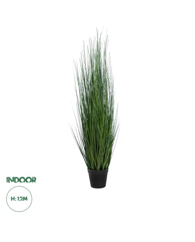 GloboStar® Artificial Garden MISCANTHUS SINENSIS 20116 Τεχνητό Διακοσμητικό Φυτό Μίσχανθος Υ120cm