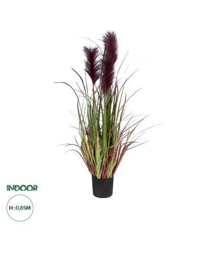 GloboStar® Artificial Garden BLOODY PAMPAS GRASS 20109 Τεχνητό Διακοσμητικό Φυτό Αιματόφυλλο Γρασίδι της Πάμπας Υ85cm