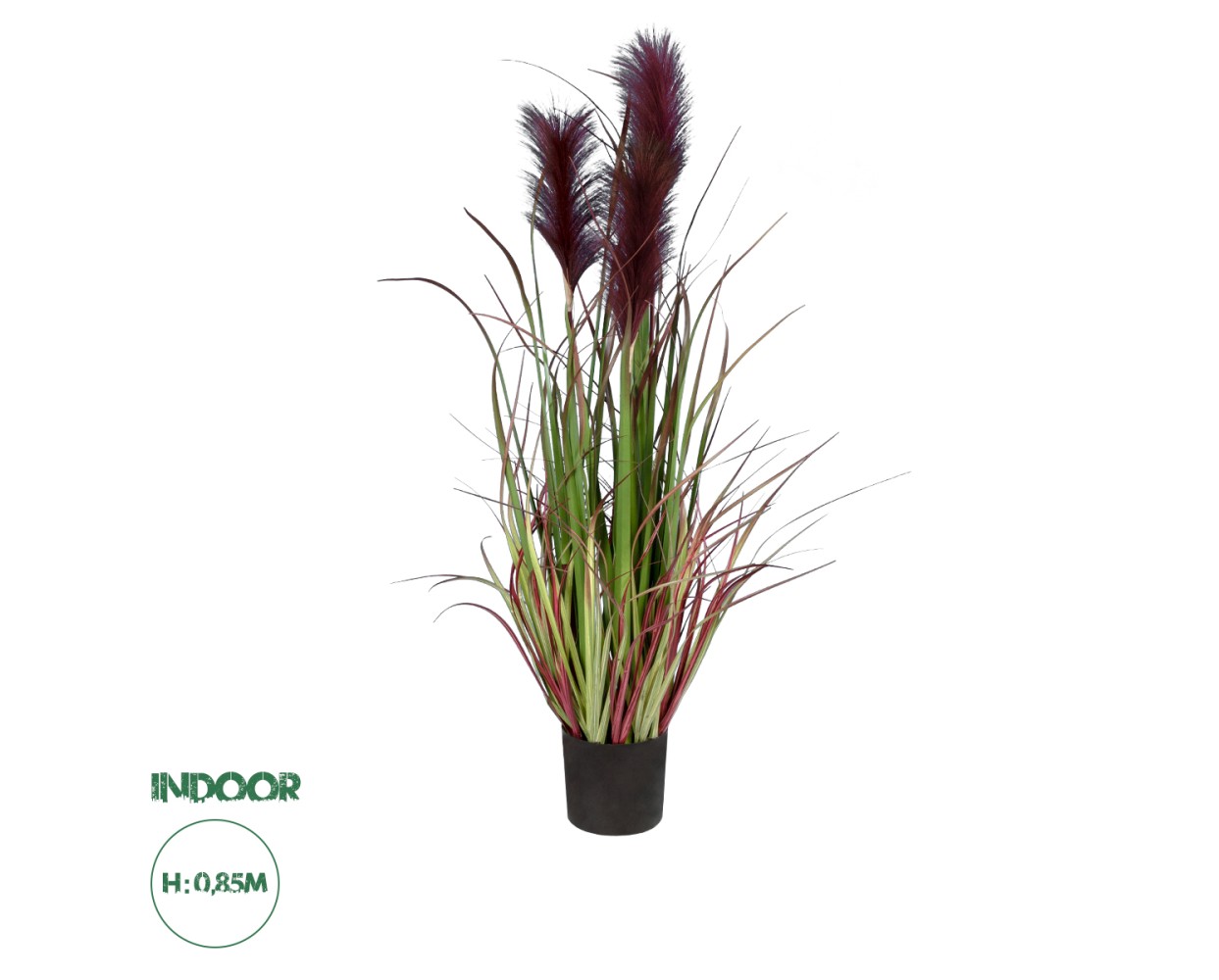 GloboStar® Artificial Garden BLOODY PAMPAS GRASS 20109 Τεχνητό Διακοσμητικό Φυτό Αιματόφυλλο Γρασίδι της Πάμπας Υ85cm