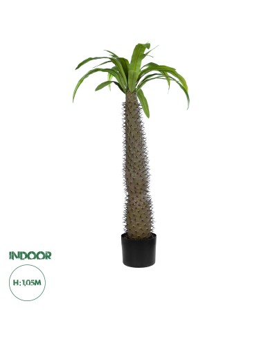 GloboStar® Artificial Garden PACHYPODIUM LAMEREI PALM TREE 20129 Τεχνητό Διακοσμητικό Φυτό Φοίνικας της Μαγαδασκάρης Υ105cm