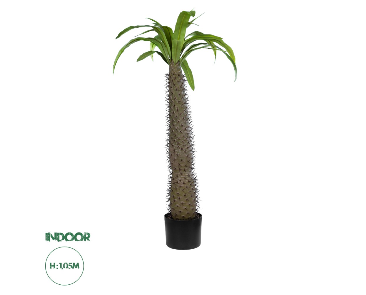 GloboStar® Artificial Garden PACHYPODIUM LAMEREI PALM TREE 20129 Τεχνητό Διακοσμητικό Φυτό Φοίνικας της Μαγαδασκάρης Υ105cm