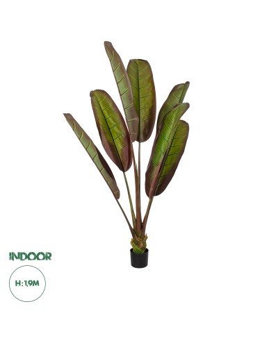 GloboStar® Artificial Garden BLOODY BANANA TREE 20118 - Τεχνητό Διακοσμητικό Φυτό Αιματόφυλλη Μπανανιά - Μπανανόδεντρο Υ190cm