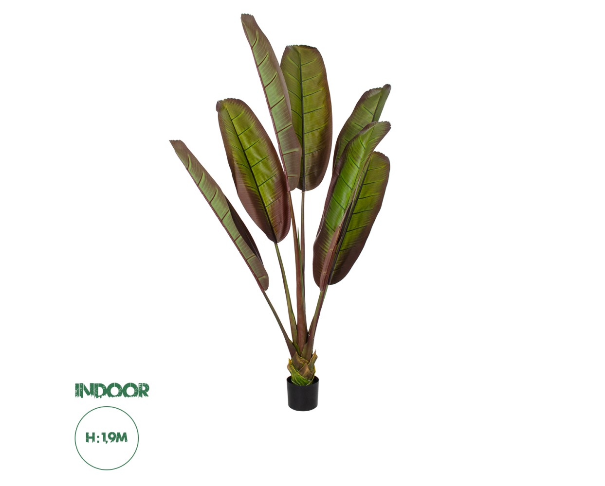 GloboStar® Artificial Garden BLOODY BANANA TREE 20118 - Τεχνητό Διακοσμητικό Φυτό Αιματόφυλλη Μπανανιά - Μπανανόδεντρο Υ190cm