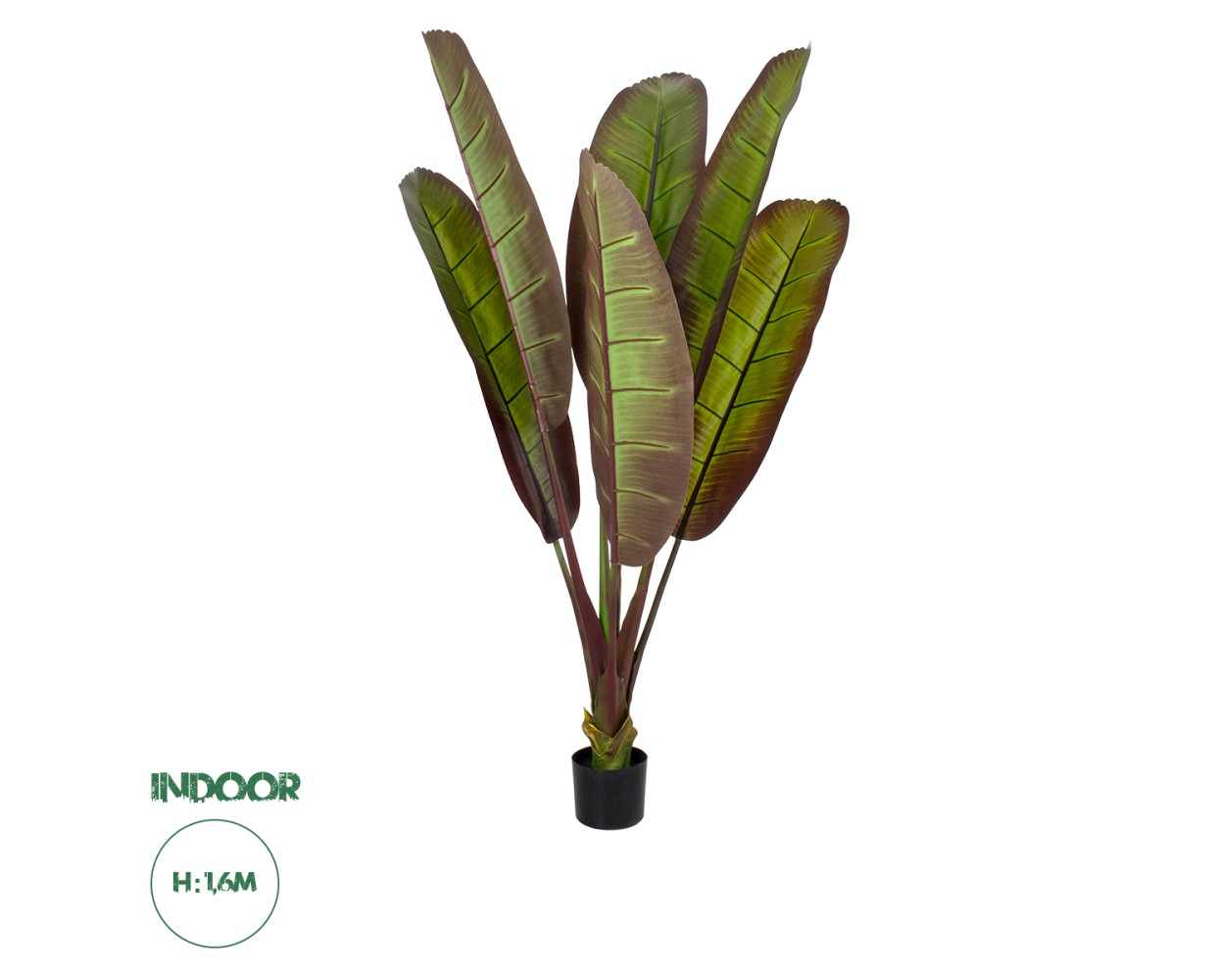 GloboStar® Artificial Garden BLOODY BANANA TREE 20117 - Τεχνητό Διακοσμητικό Φυτό Αιματόφυλλη Μπανανιά - Μπανανόδεντρο Υ160cm