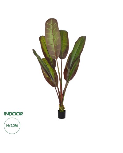 GloboStar® Artificial Garden BLOODY BANANA TREE 20119 - Τεχνητό Διακοσμητικό Φυτό Αιματόφυλλη Μπανανιά - Μπανανόδεντρο Υ220cm