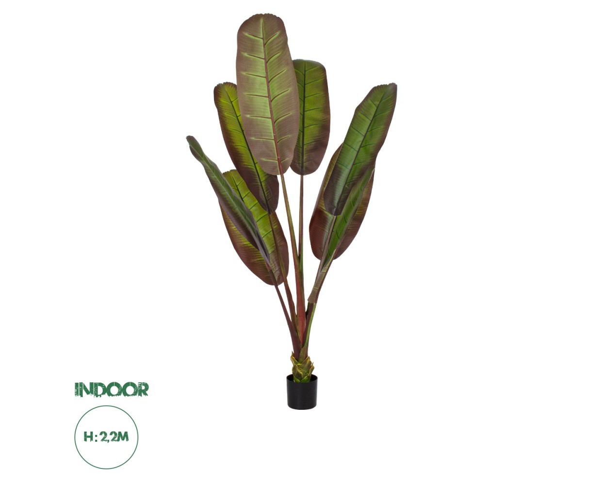 GloboStar® Artificial Garden BLOODY BANANA TREE 20119 - Τεχνητό Διακοσμητικό Φυτό Αιματόφυλλη Μπανανιά - Μπανανόδεντρο Υ220cm