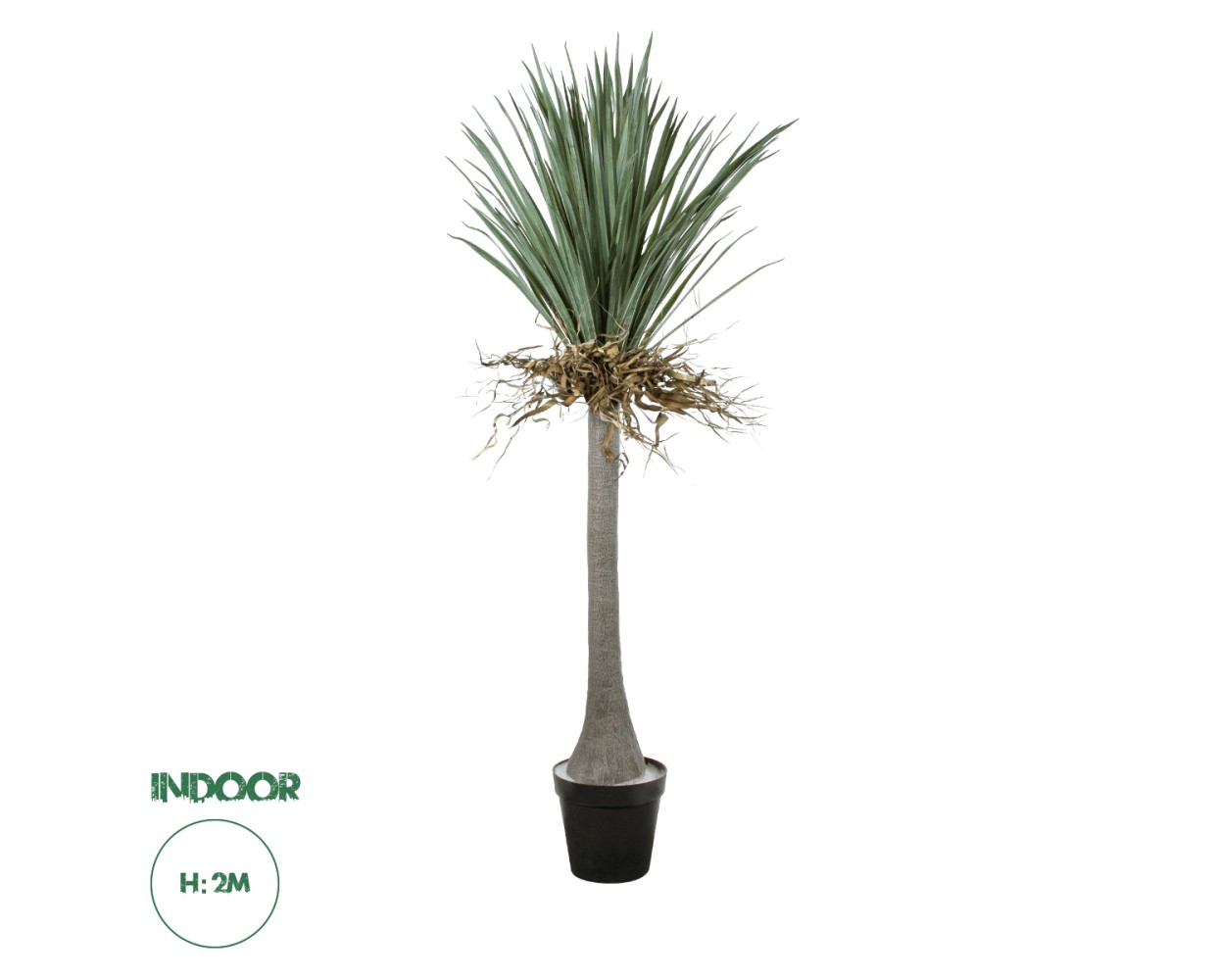 GloboStar® Artificial Garden BEAUCARNEA PALM TREE 20047 Τεχνητό Διακοσμητικό Φυτό Κυρτόφυλλος Μπουκαρνέα Υ200cm