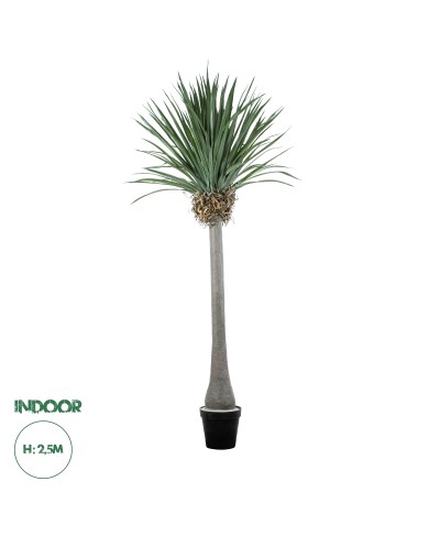 GloboStar® Artificial Garden BEAUCARNEA PALM TREE 20048 Τεχνητό Διακοσμητικό Φυτό Κυρτόφυλλος Μπουκαρνέα Υ250cm