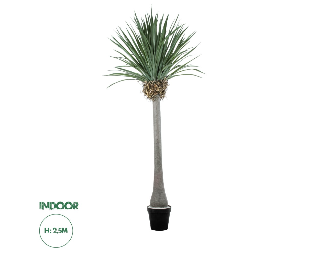 GloboStar® Artificial Garden BEAUCARNEA PALM TREE 20048 Τεχνητό Διακοσμητικό Φυτό Κυρτόφυλλος Μπουκαρνέα Υ250cm