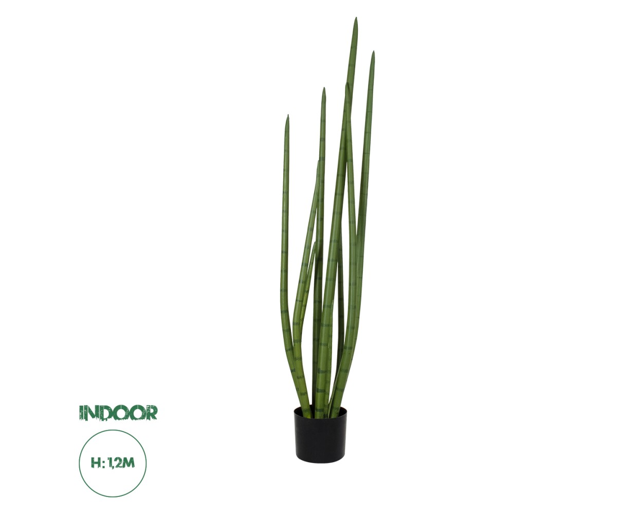 GloboStar® Artificial Garden SANSEVIERIA CYLINDRICA 20210 Τεχνητό Διακοσμητικό Φυτό Σανσεβιέρια Υ120cm