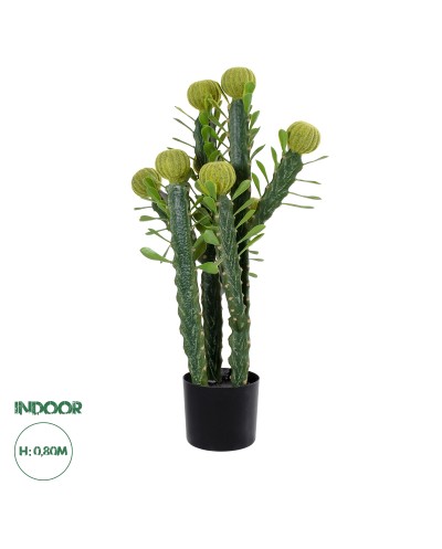 GloboStar® Artificial Garden CEREUS JAMACARU CACTUS 20192 Τεχνητό Διακοσμητικό Φυτό Κάκτος Κηρίος Υ80cm