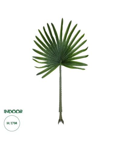 GloboStar® Artificial Garden SERENOA PALM LEAF 20174 Τεχνητό Διακοσμητικό Φύλο Φοινικόδεντρου Σερενόα Βεντάλια Π90 x Υ170cm