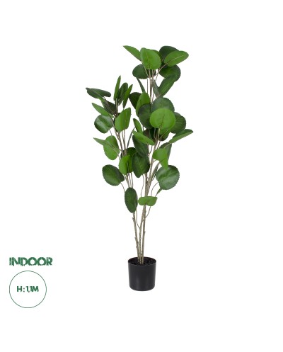 GloboStar® Artificial Garden POLYSCIAS BALFOURIANA TREE 20374 Τεχνητό Διακοσμητικό Φυτό Πολυσκιά Υ110cm