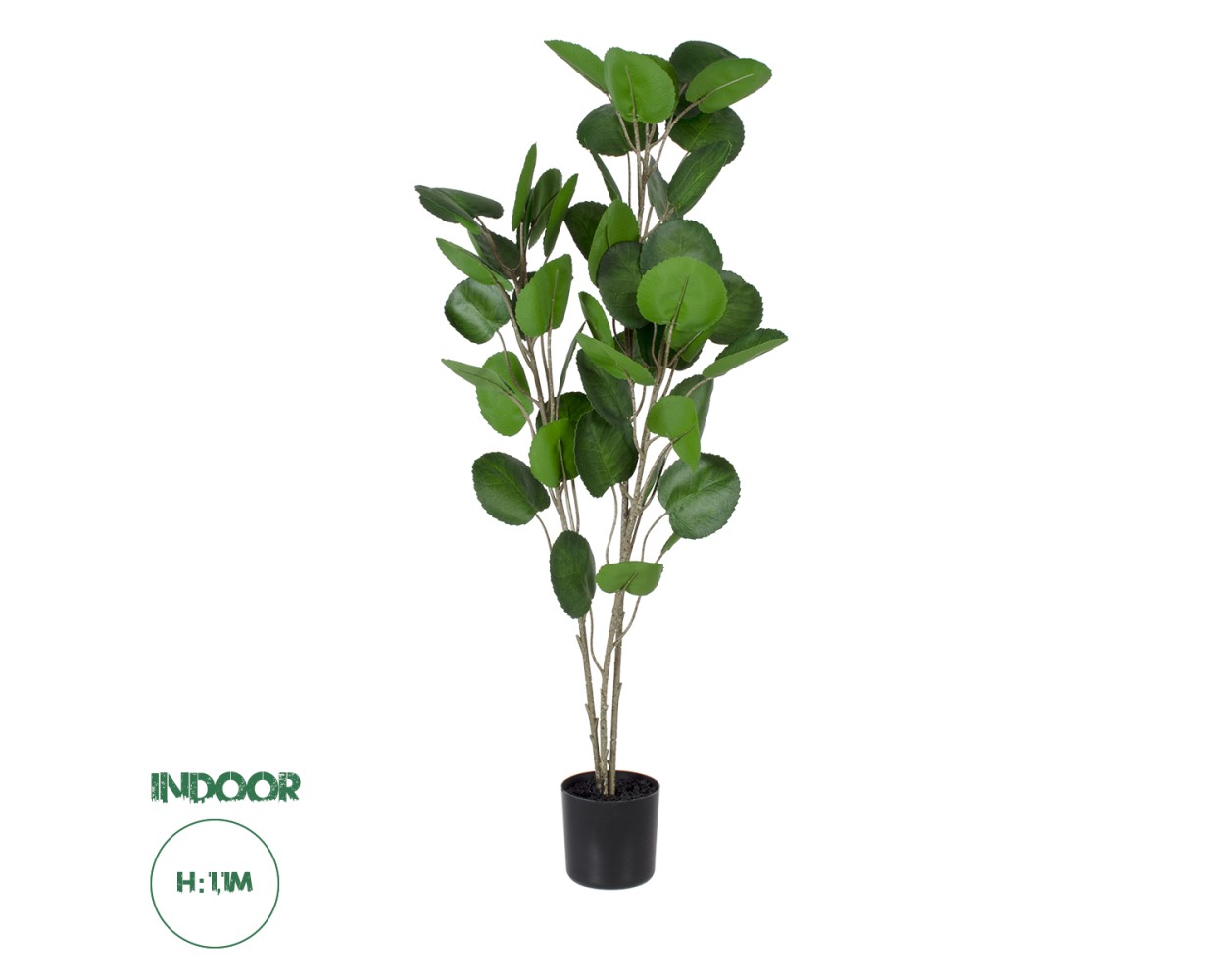 GloboStar® Artificial Garden POLYSCIAS BALFOURIANA TREE 20374 Τεχνητό Διακοσμητικό Φυτό Πολυσκιά Υ110cm