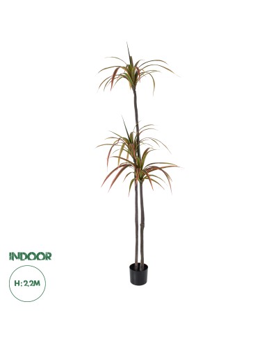 GloboStar® Artificial Garden DRAGON BLOOD TREE 20371 - Τεχνητό Διακοσμητικό Φυτό Δράκαινα Υ220cm