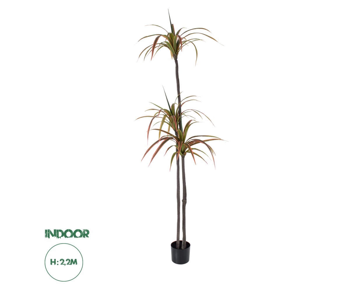 GloboStar® Artificial Garden DRAGON BLOOD TREE 20371 - Τεχνητό Διακοσμητικό Φυτό Δράκαινα Υ220cm