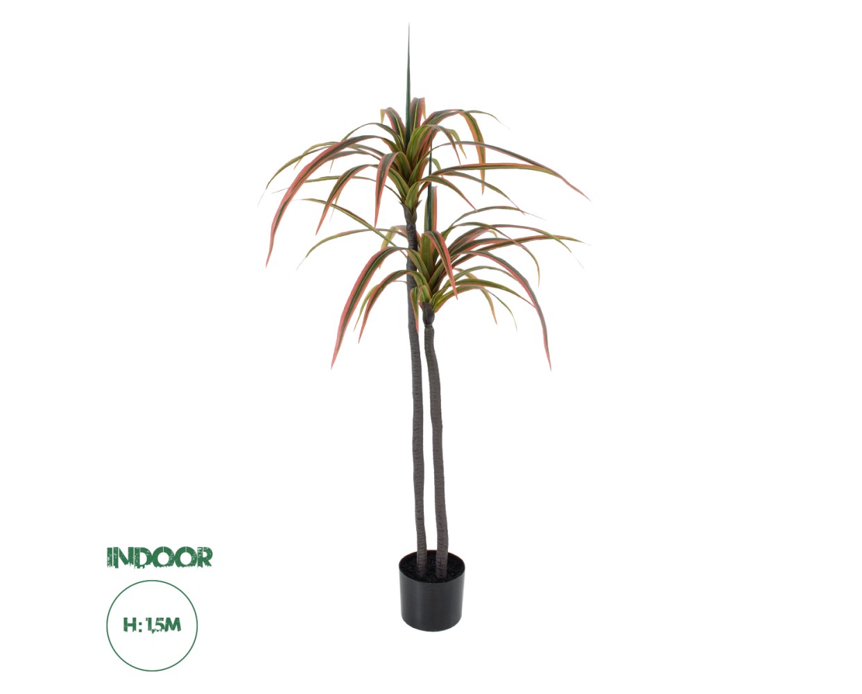 GloboStar® Artificial Garden DRAGON BLOOD TREE 20370 - Τεχνητό Διακοσμητικό Φυτό Δράκαινα Υ150cm