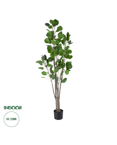 GloboStar® Artificial Garden POLYSCIAS BALFOURIANA TREE 20375 Τεχνητό Διακοσμητικό Φυτό Πολυσκιά Υ180cm