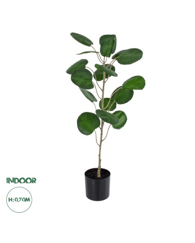 GloboStar® Artificial Garden POLYSCIAS BALFOURIANA TREE 20373 Τεχνητό Διακοσμητικό Φυτό Πολυσκιά Υ70cm