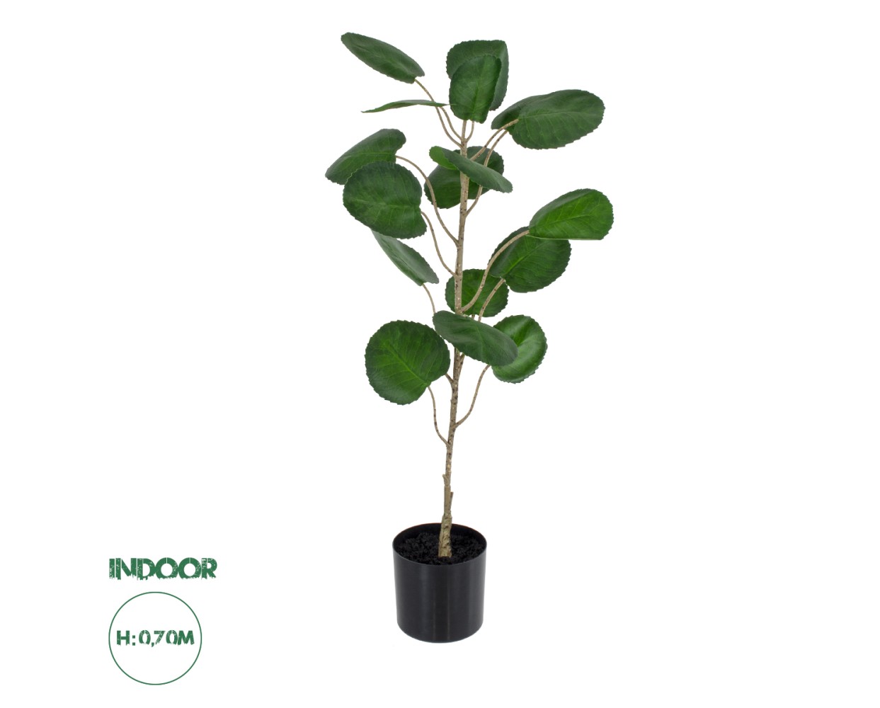 GloboStar® Artificial Garden POLYSCIAS BALFOURIANA TREE 20373 Τεχνητό Διακοσμητικό Φυτό Πολυσκιά Υ70cm