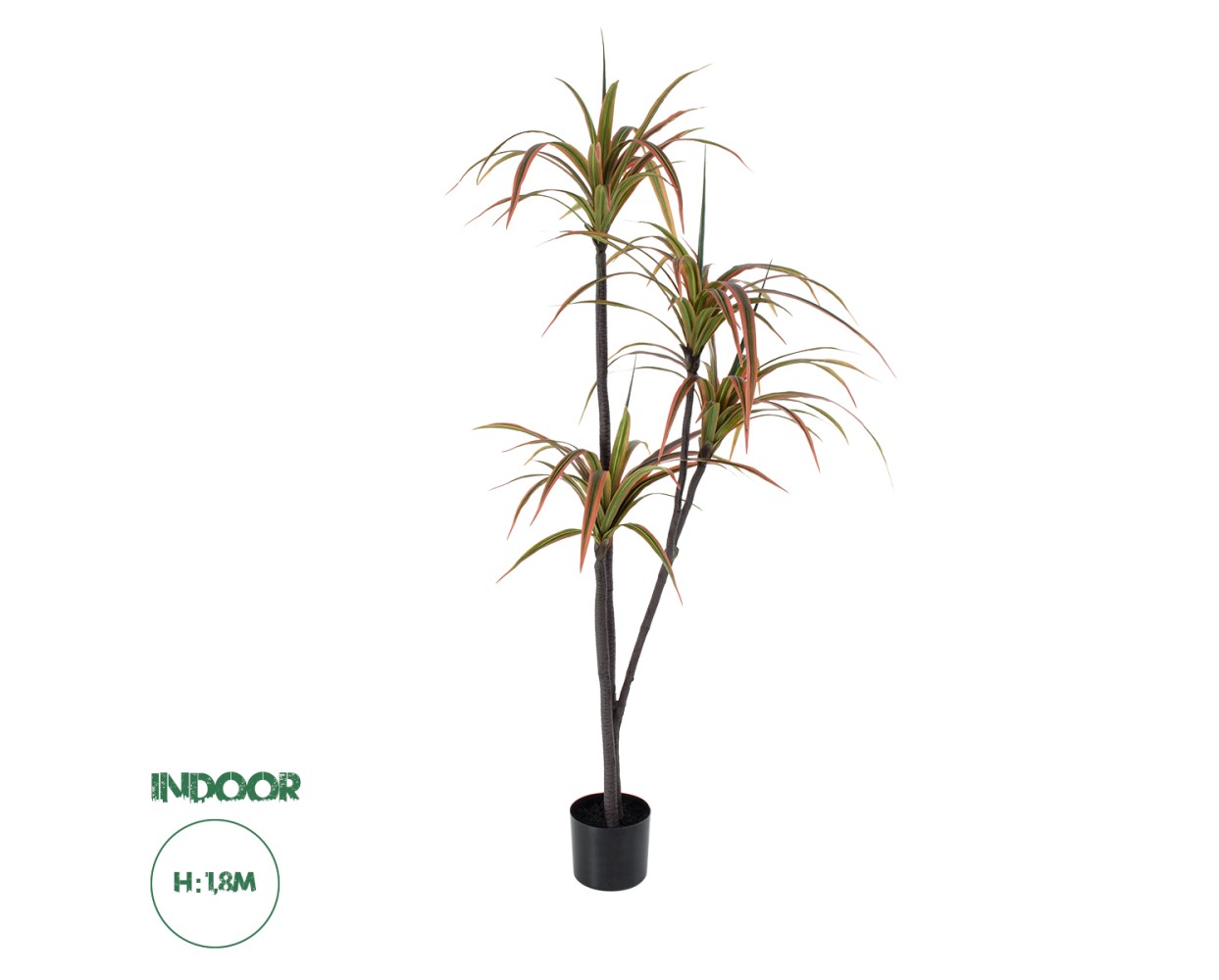 GloboStar® Artificial Garden DRAGON BLOOD TREE 20372 - Τεχνητό Διακοσμητικό Φυτό Δράκαινα Υ180cm