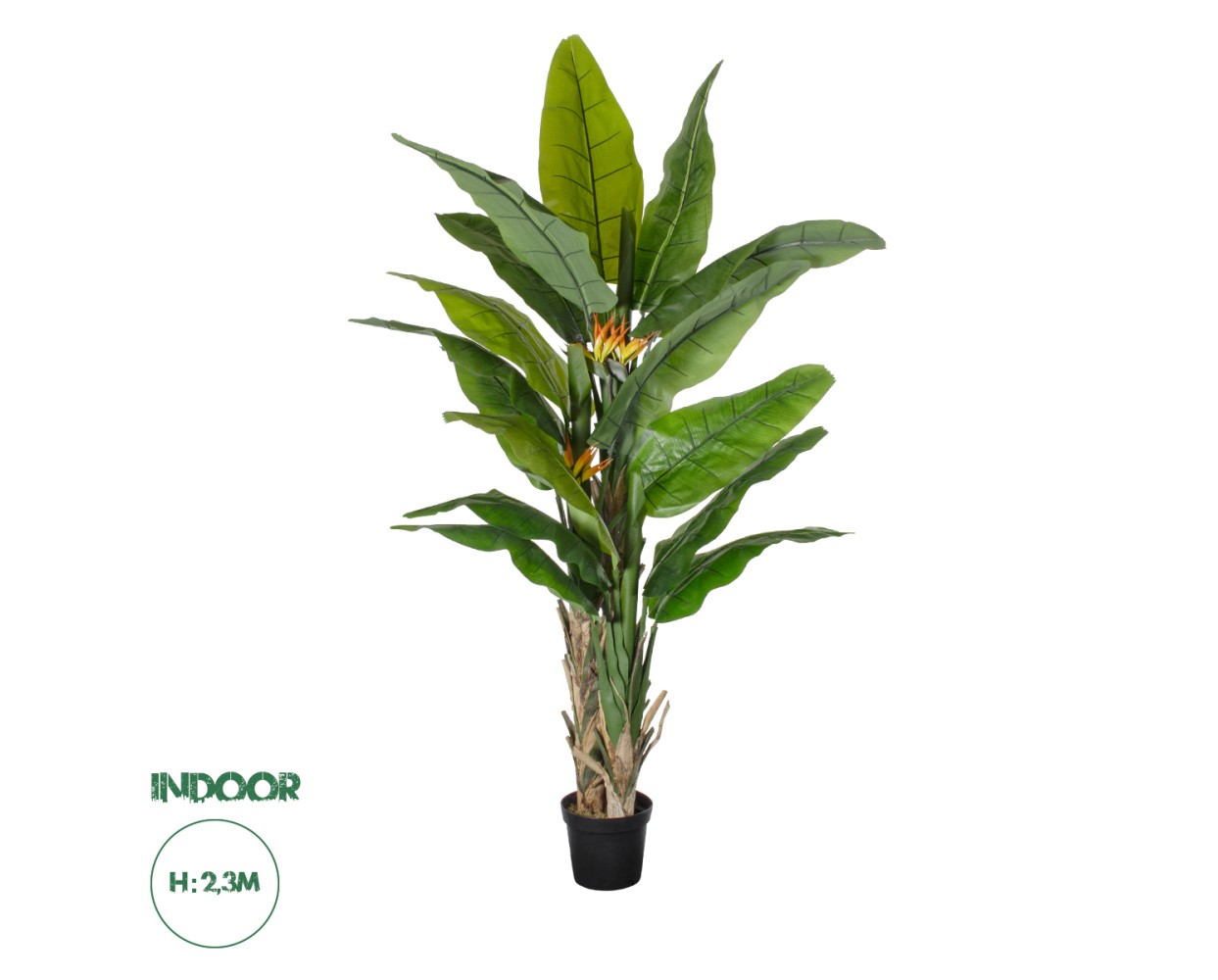 GloboStar® Artificial Garden BANANA STRELITZIA REGINAE 20381 - Τεχνητό Διακοσμητικό Φυτό  Μπανανιά - Στρελίτσια - Πουλί του Παραδείσου Υ230cm