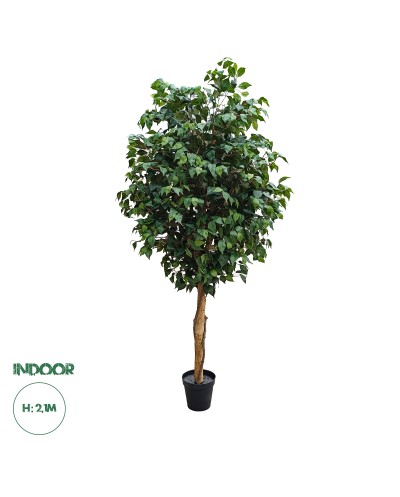 GloboStar® Artificial Garden FICUS BENJAMINA TREE 20431 Τεχνητό Διακοσμητικό Φυτό Φίκος Μπενζαμίνη Υ210cm