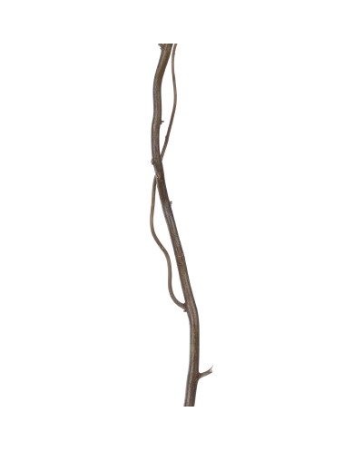 GloboStar® Artificial Garden REAL DRIED WITHERED VINE STEM