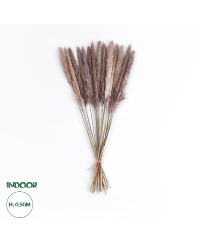 GloboStar® Artificial Garden REAL DRIED BROWN PAMPAS GRASS