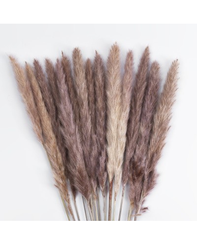 GloboStar® Artificial Garden REAL DRIED BROWN PAMPAS GRASS