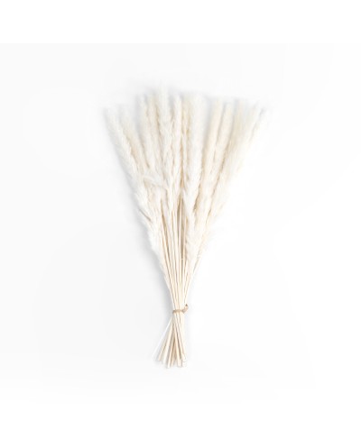 GloboStar® Artificial Garden REAL DRIED BEIGE PAMPAS GRASS