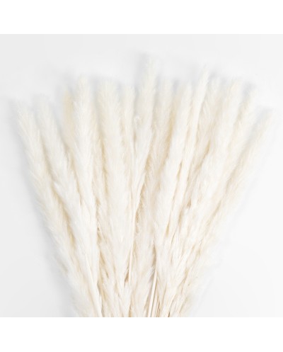 GloboStar® Artificial Garden REAL DRIED BEIGE PAMPAS GRASS