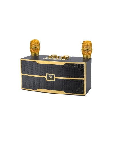 Ασύρματο ηχείο Bluetooth με 2 μικρόφωνα Karaoke - YS-201 - 887158