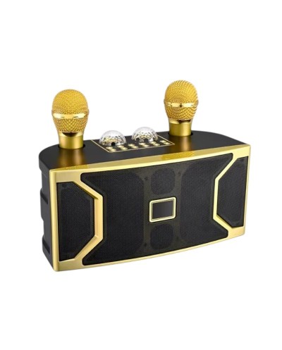 Ασύρματο ηχείο Bluetooth με 2 μικρόφωνα Karaoke - YS-211 - 887189 - Gold