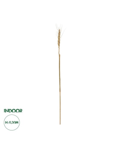 GloboStar® Artificial Garden REAL DRIED WHEAT GRASS 21488