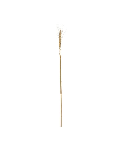GloboStar® Artificial Garden REAL DRIED WHEAT GRASS 21488